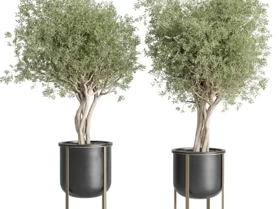 collection indoor plant stand metal vases pot tree bush 3D model