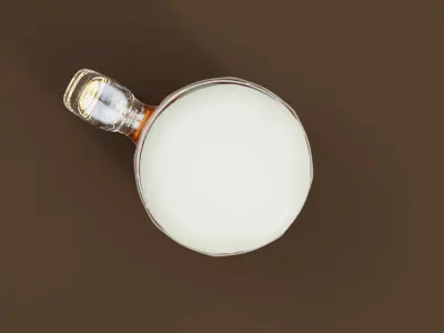 Glass Mug of Beer 3D model