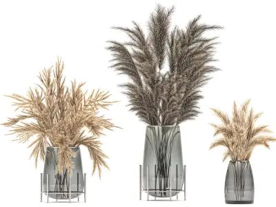 Bouquet of dried flowers in a vase 102 3D model