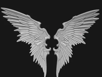 Wings 3D print model