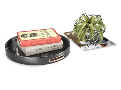 Faux Tillandsia Large Set 3D model