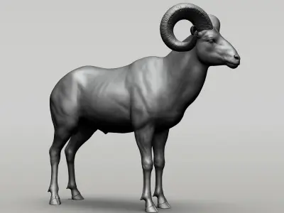 Wild animal collection  10 animals  VOL 2 3D model