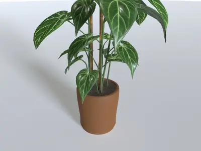 Pot Tropical Plant 1 Low-poly 3D model