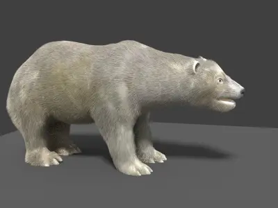 Polar Bear Animated 3D model