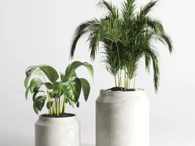 collection Indoor plant 33-concrate-vase Low-poly 3D model