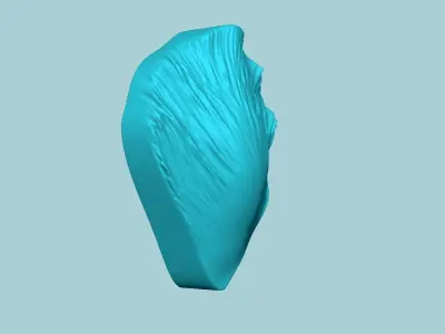 Tulip Flower Petal 02 - Moulding Artificial Craft 3D print model