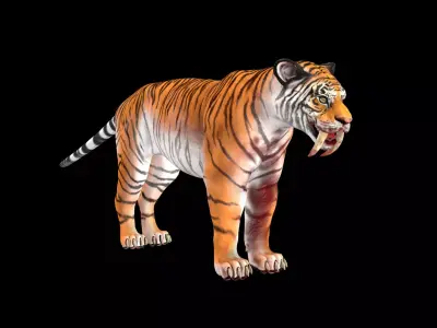 Sabre-toothed Tiger  textures  3D model