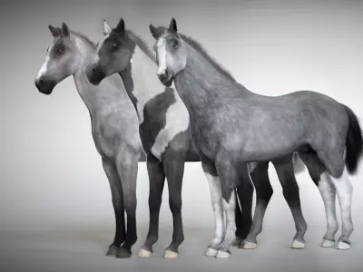 Rigged and Animated Stallion 3D model