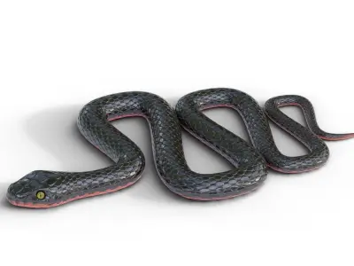 Snake procedural Low-poly 3D model