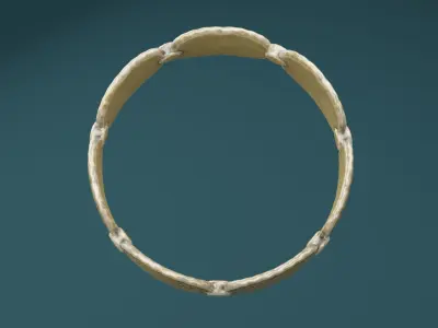 Golden Bangle  Low-poly 3D model get