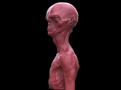 Alien Creature Bust Free 3D print model