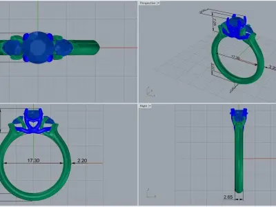  ring code 253 3D print model