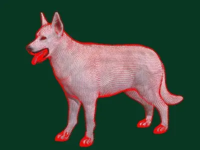 White Swiss Shepherd Dog Breed 3D model