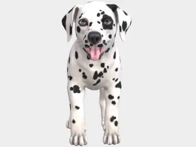 Puppy - Dalmatian Low-poly 3D model