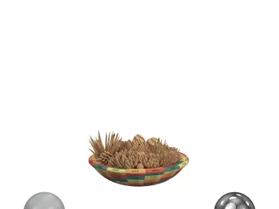 Succulent Pot 3D model