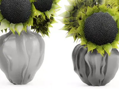 Beautiful Bouquet Of Green And Black Sunflowers vase decor 3D model