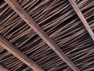 Ceiling thick branch crooked n1 3D model