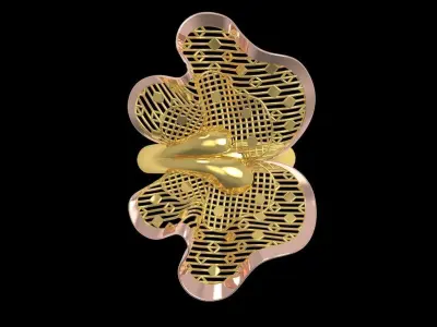 Fusion Gold Rings RAB01 3D print model
