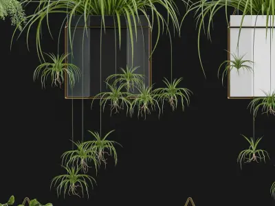 Modern Potting Plant 3D model