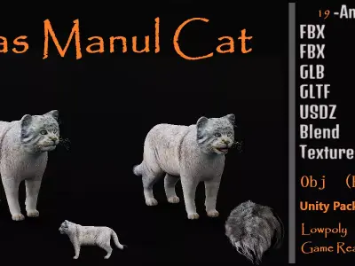 Pallas Manul Cat Breed Low-poly 3D model
