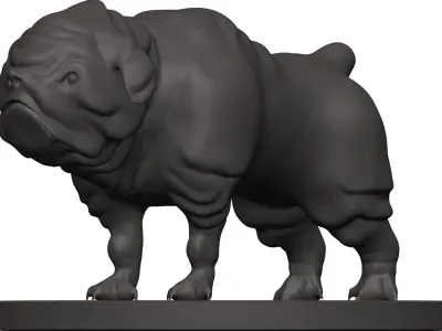 Bulldog pug 3D model