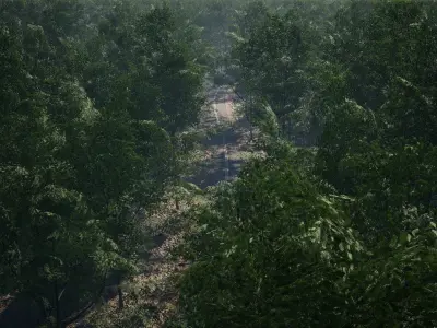 MAE Oak Forest - UE4 and UE5 Low-poly 3D model