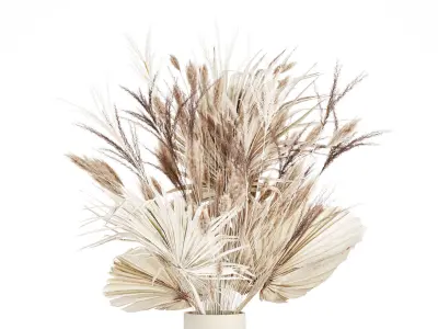 Bouquet Dried Flowers From White Pampas Branches vase 555 3D model