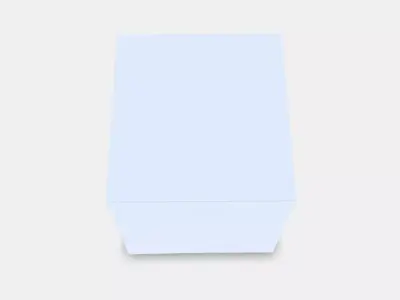 TJENA box with lid 1 3D model