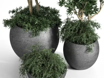 Outdoor Plants tree 03 3D model
