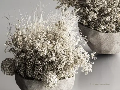 Dried plant with cloth pot 3D model