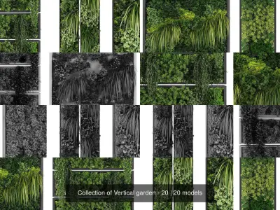 Collection of Vertical garden - 20