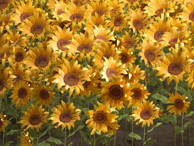 Sunflower field 3D model