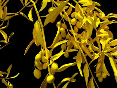 a bouquet of olive 3D model