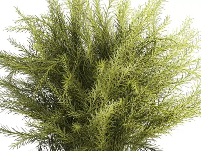 Floral green bouquet Asparagus branches glass vase 611 3D model