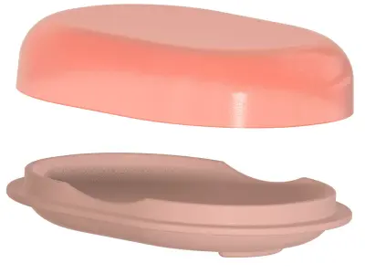 Exquisite Soap Dish 3D print model