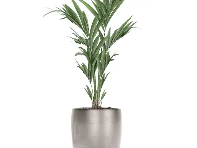 Decorative palm in a flowerpot 696 3D model