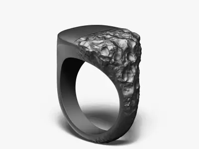 Signet Ring Sculptural Jewelry Design 3D print model