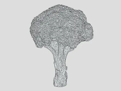 Broccoli Low Poly Low-poly 3D model