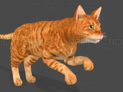 Animated Cat 3D model