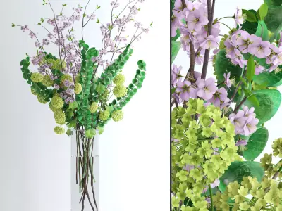 Viburnum plus Moluccella and Cherry blossom  3D model