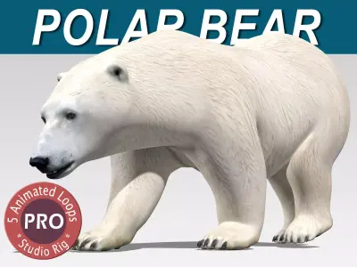 Polar Bear PRO 3D model