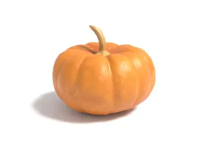 Decorative Gourd Pumpkin Squash Orange 3D Scan 3D model
