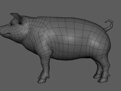 Pig BaseMesh Low-poly 3D model