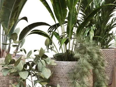 plant in vase collection set 212 3D model