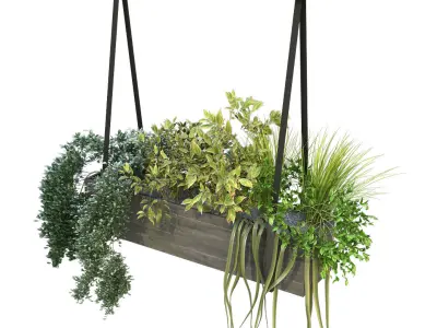 Indoor celling plant box set 197 3D model