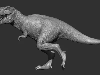 17 Tyrannosaurus t rex  poses 3D model