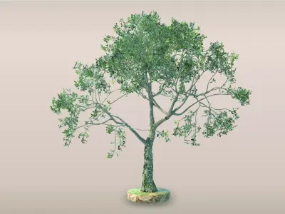 Tree - 4 Free low-poly 3D model