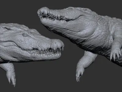 Nile Crocodile 3D Model LowPoly SubD HighPoly Decimated Low-poly 3D model