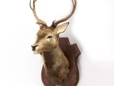 Deer head 3d model Low-poly 3D model