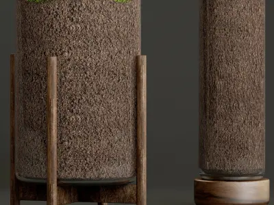 Potted plants fern  3D model